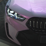 FANTASTIC PURPLE